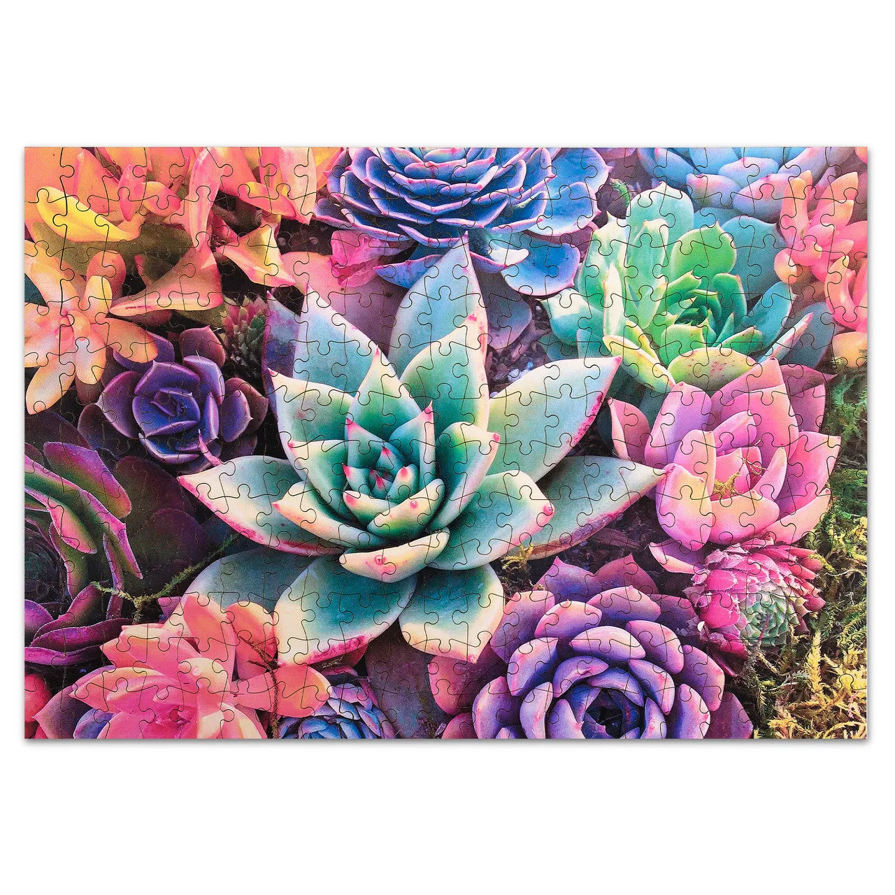 Buffalo Games Simple Succulent træpuslespil 250 brikker