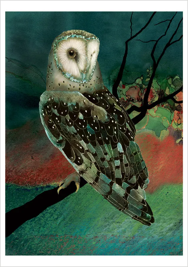 Pomegranate Barn Owls kortæske 20 brevkort uglemotiv