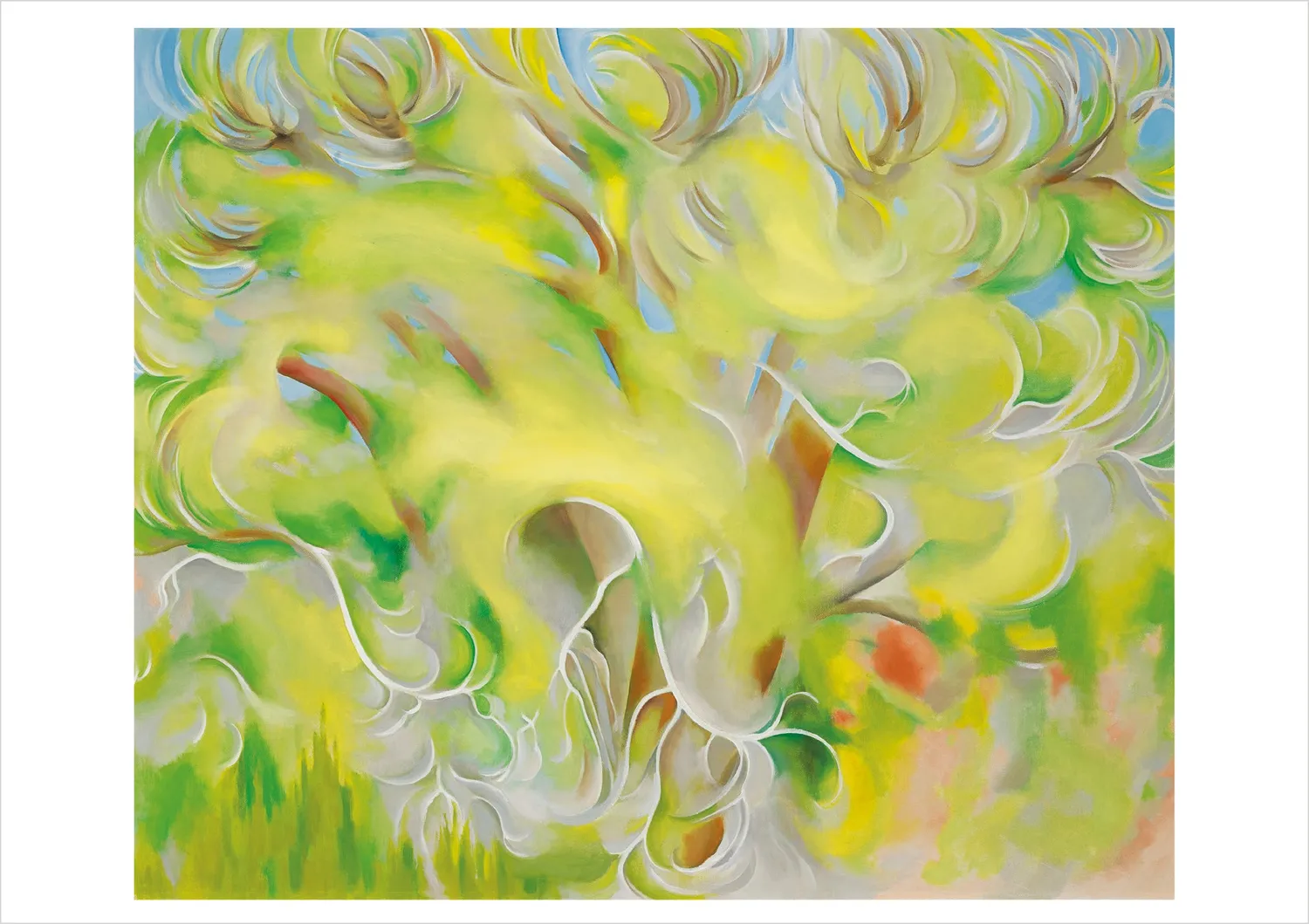 Pomegranate Georgia O’Keeffe Trees kortæske 20 stk landskab