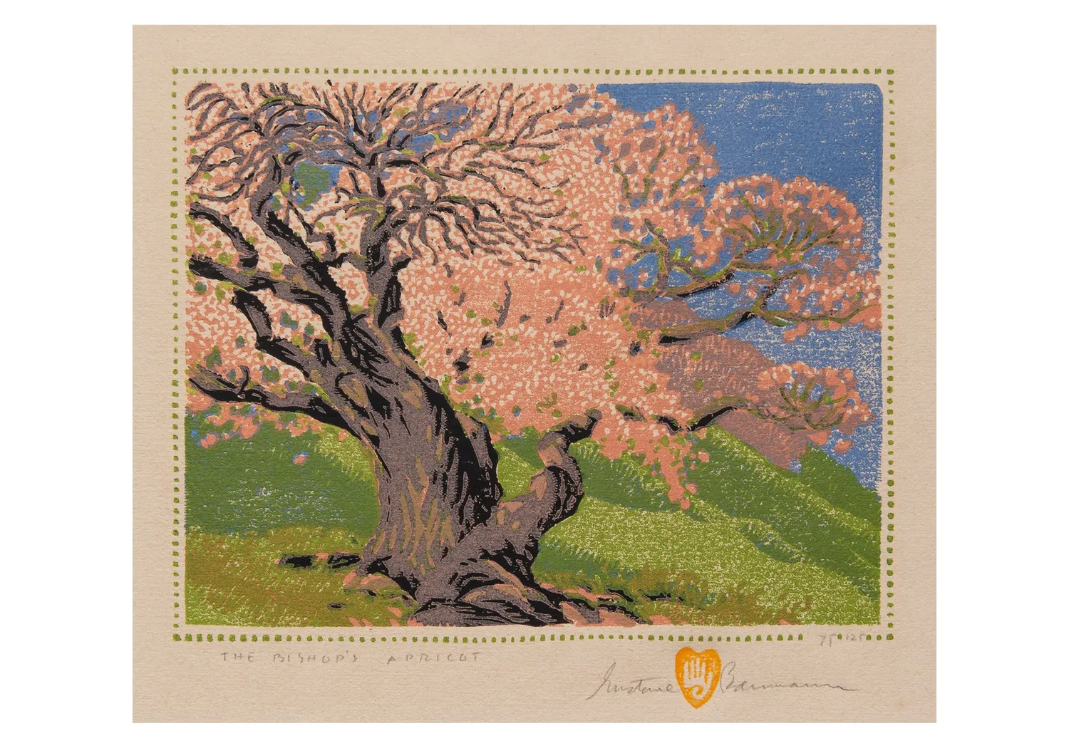 Pomegranate Gustave Baumann Bishop's Apricot kortæske lille