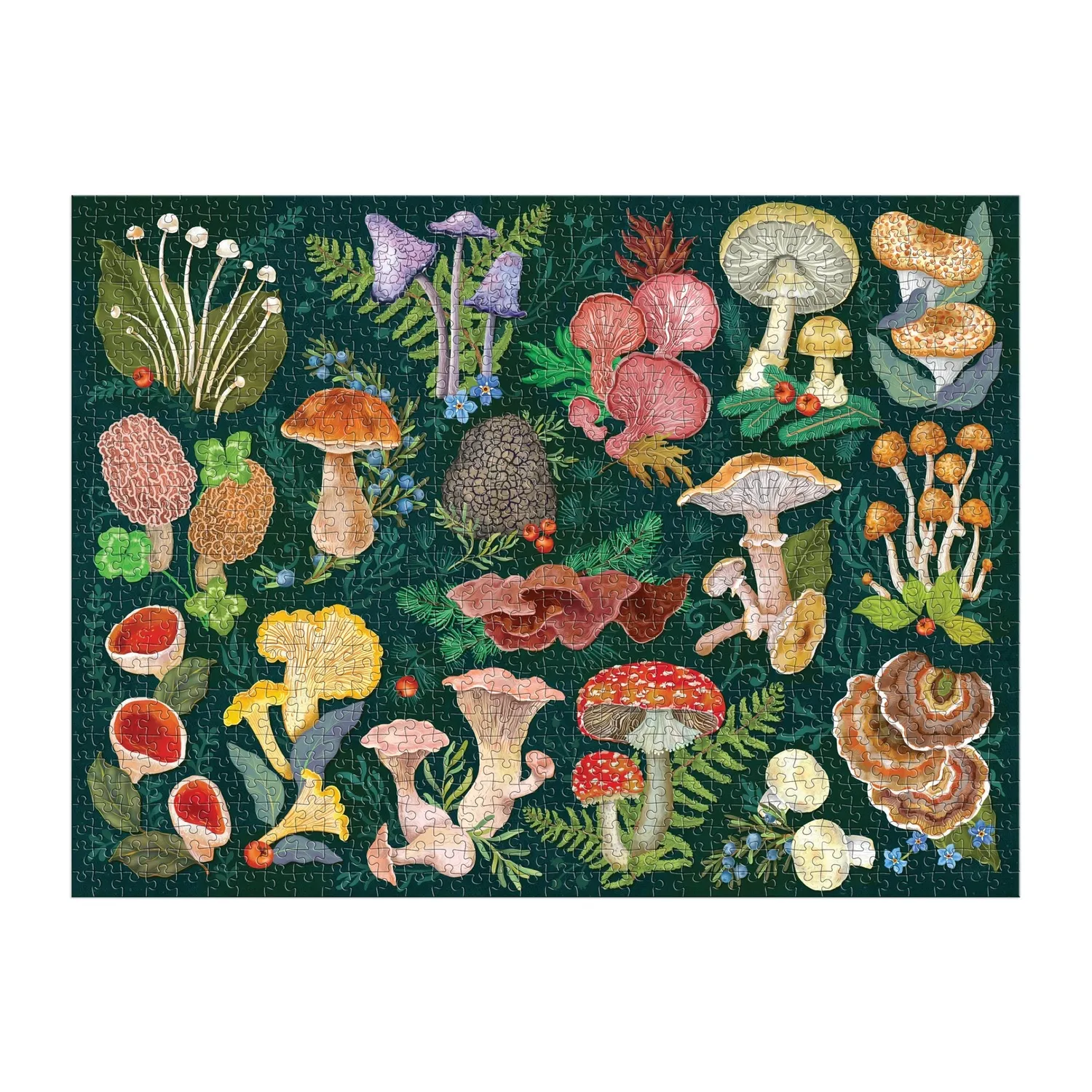 Good Puzzle Co. Mushrooms World of Mushrooms puslespil 1000 svampe