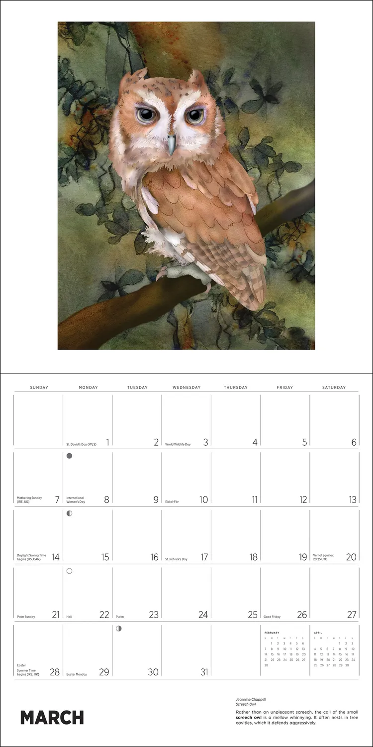 Pomegranate Owls Jeannine Chappell 2027 vægkalender ugler