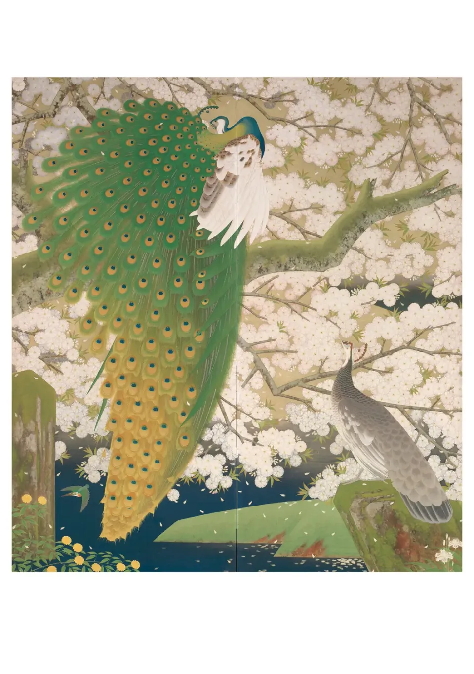 Pomegranate Imazu Tatsuyuki Peacocks and Cherry Blossoms fødselsdagskort
