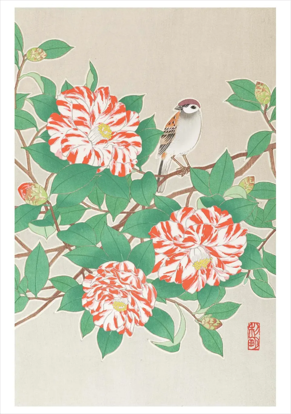 Pomegranate Sparrow Camellia kort japansk fugl