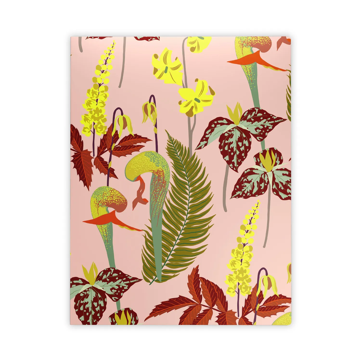 Pomegranate Kate Blairstone Large Notebook Set notesbøger