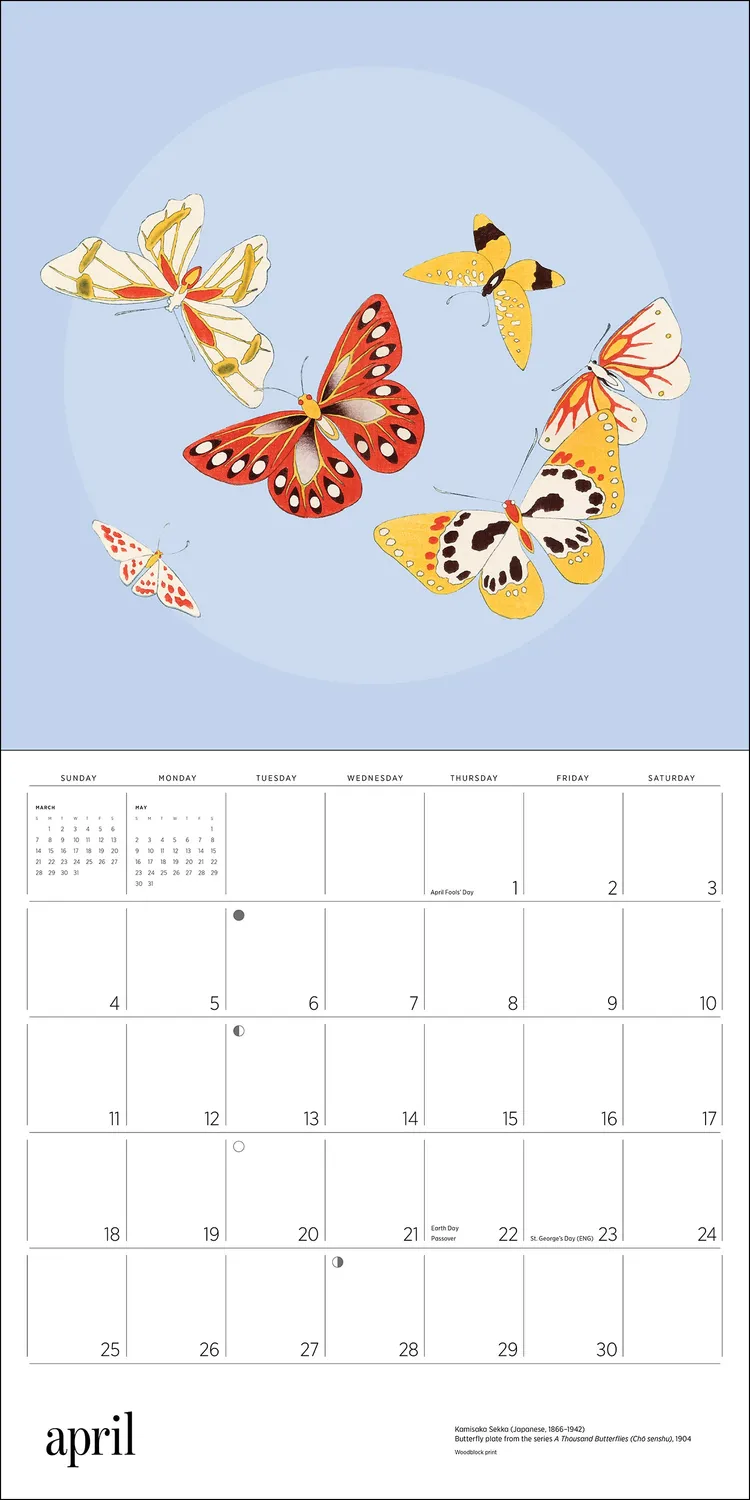 Pomegranate Butterflies vægkalender 2027 sommerfugle