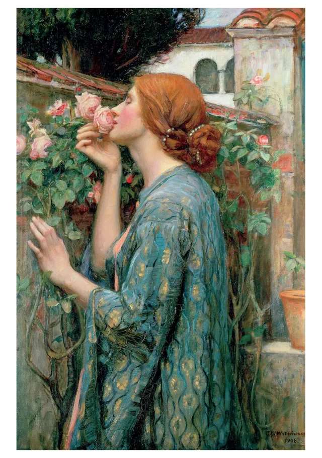 Pomegranate Waterhouse The Soul of the Rose kort enkelt rose