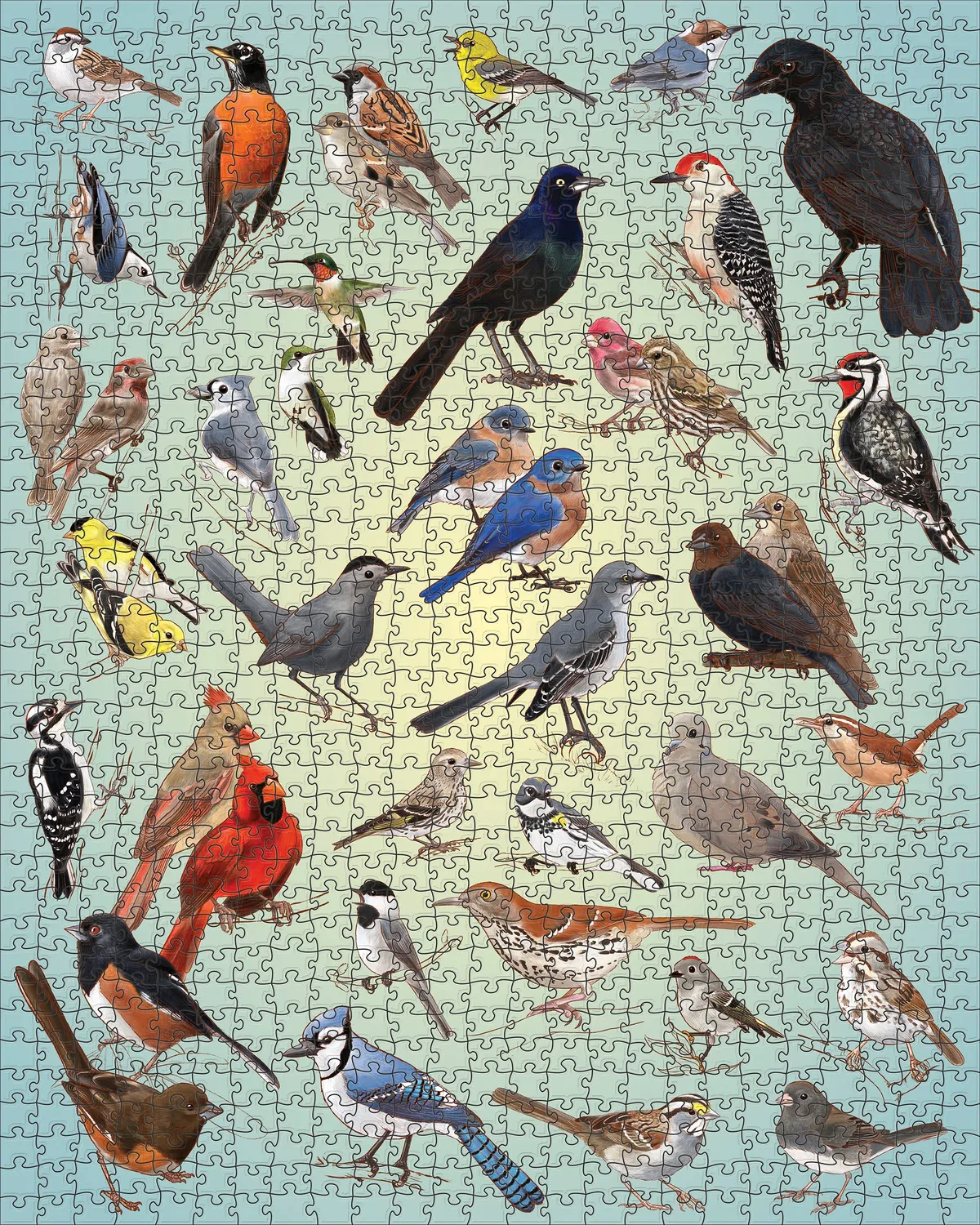Pomegranate Casey Girard Backyard Birds puslespil 1000 brikker fugle