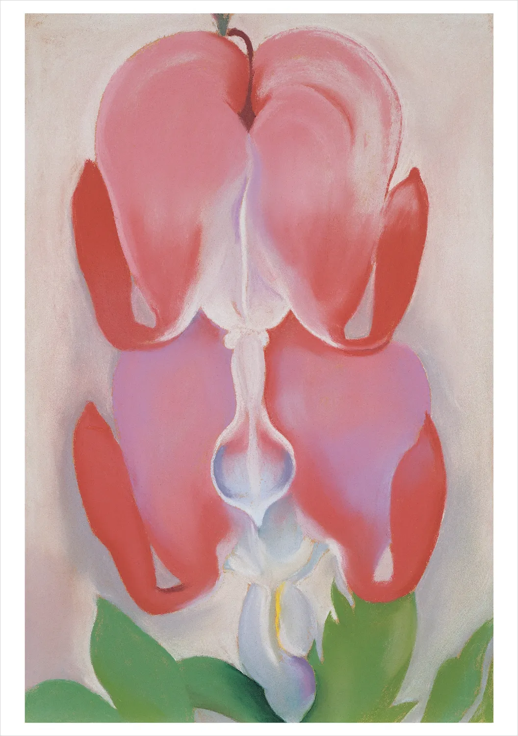 Pomegranate Georgia O’Keeffe Paintings kortsæt 20 stk blomst