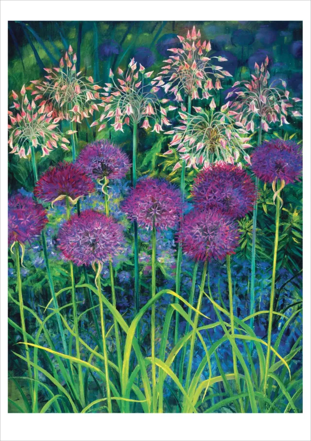 Pomegranate Rosalind Wise Alliums enkeltkort blomster