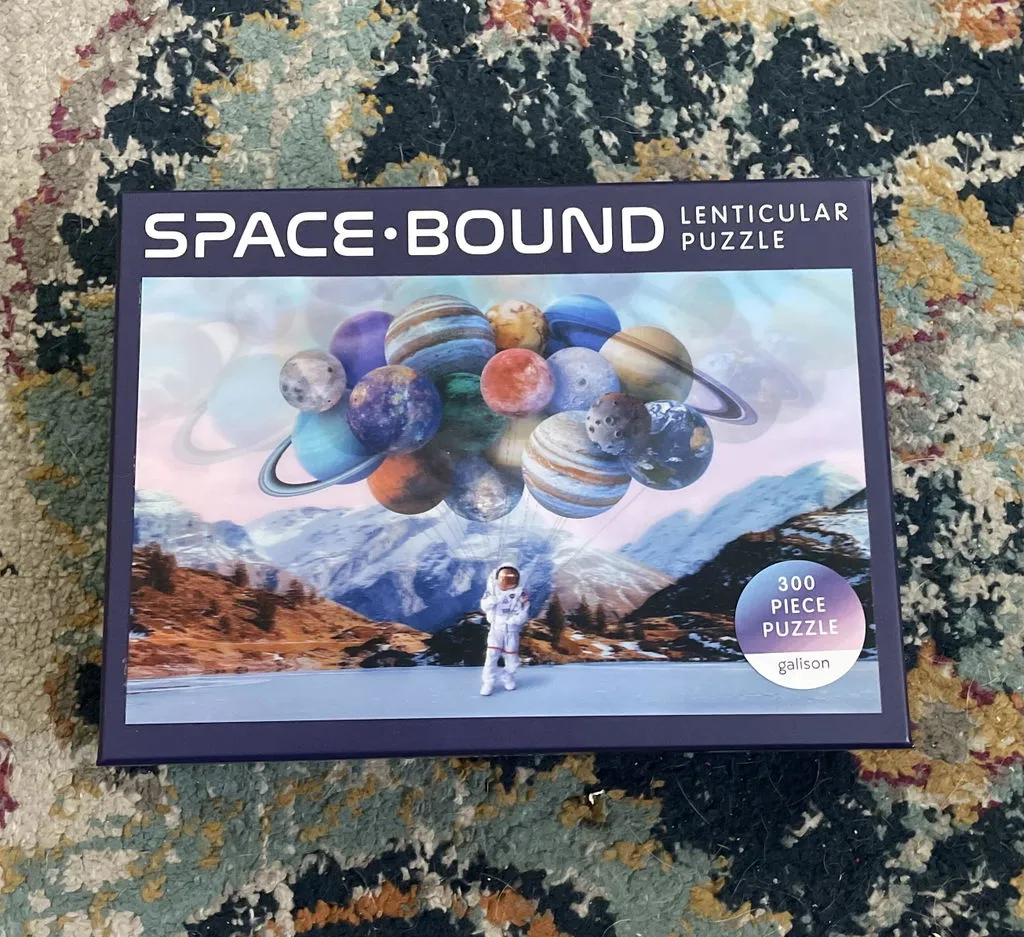 Galison Space Bound Karen Cantu 300 puslespil lenticular
