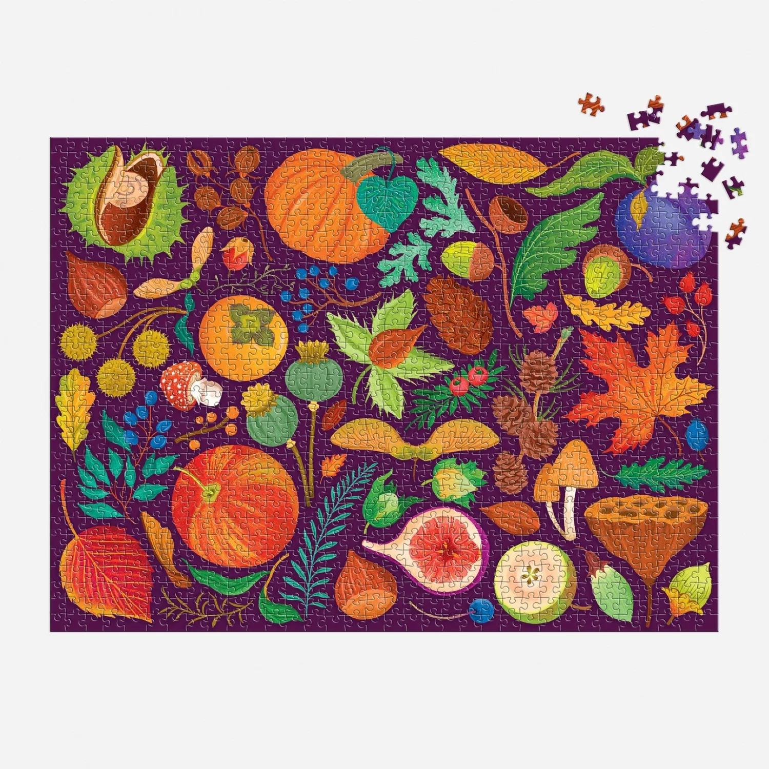 Galison World of Fall Flora puslespil 1000 brikker