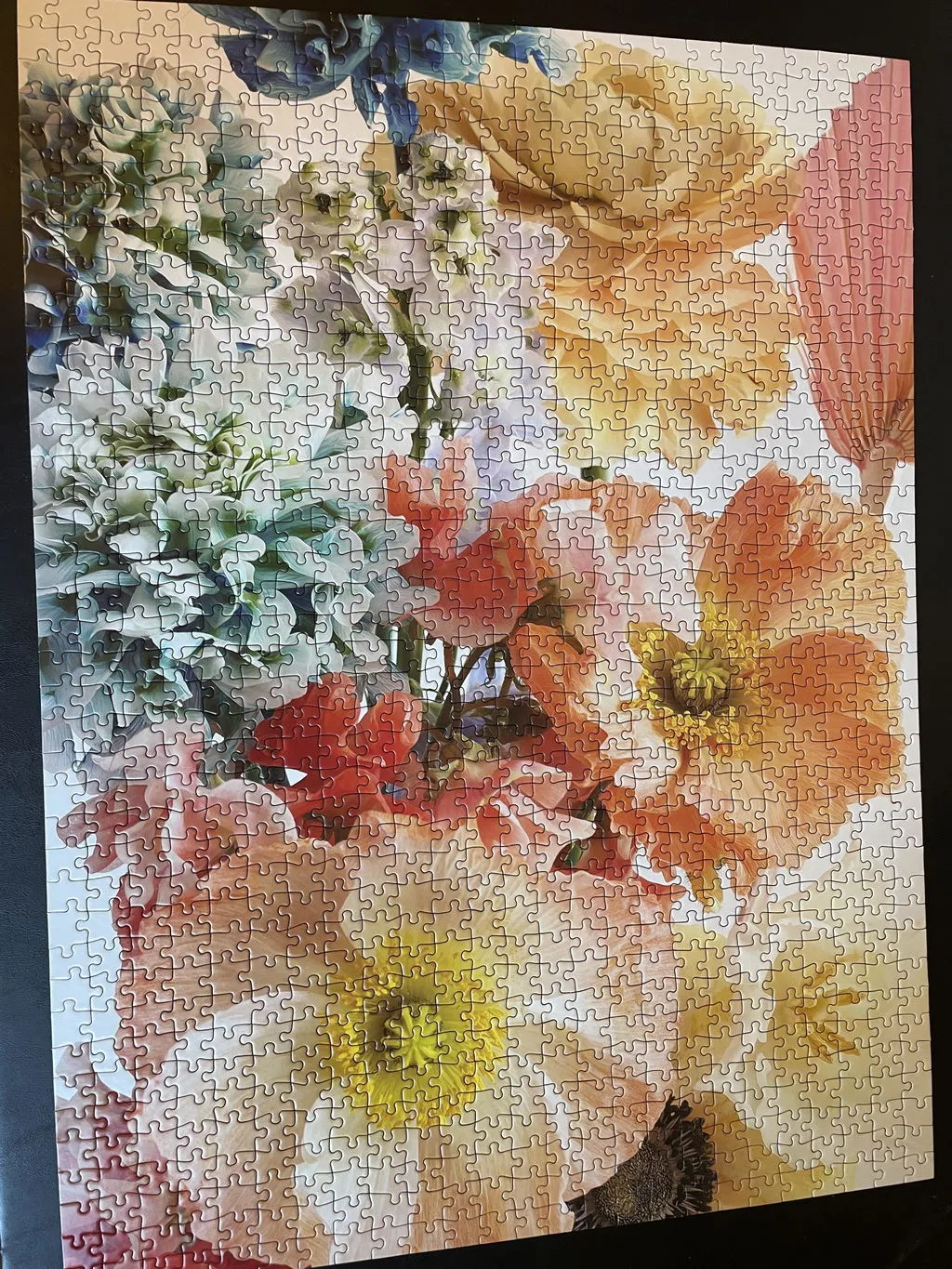 Good Puzzle Co. Ashley Woodson Bailey Florida Light puslespil