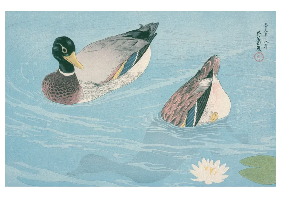Pomegranate Ducks kort enkelt ænder Goyō
