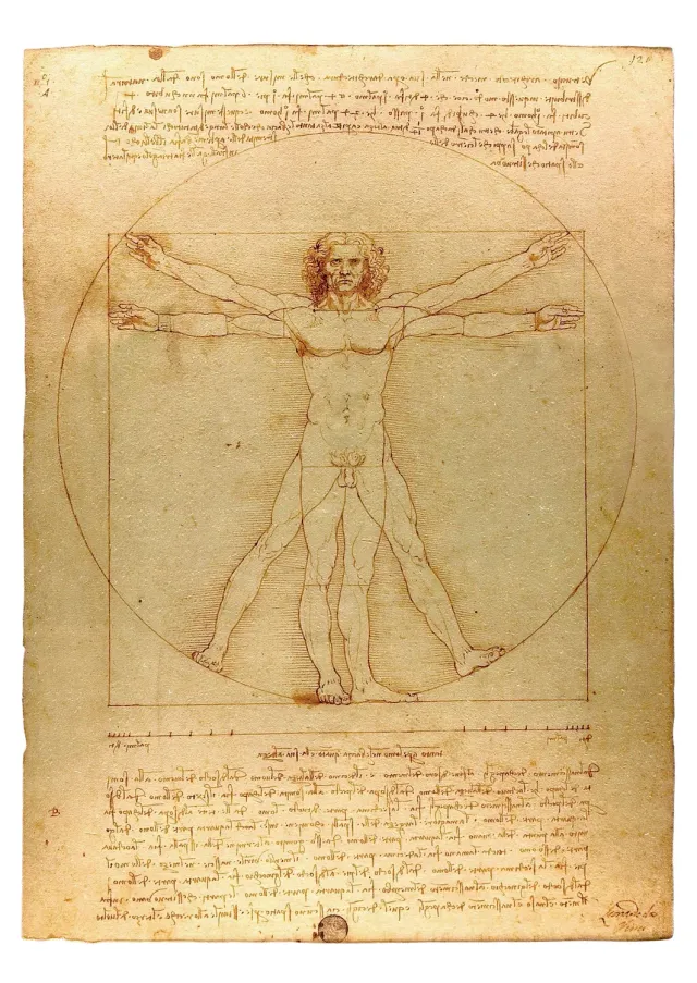 Pomegranate Leonardo da Vinci Vitruvian Man postkort historie