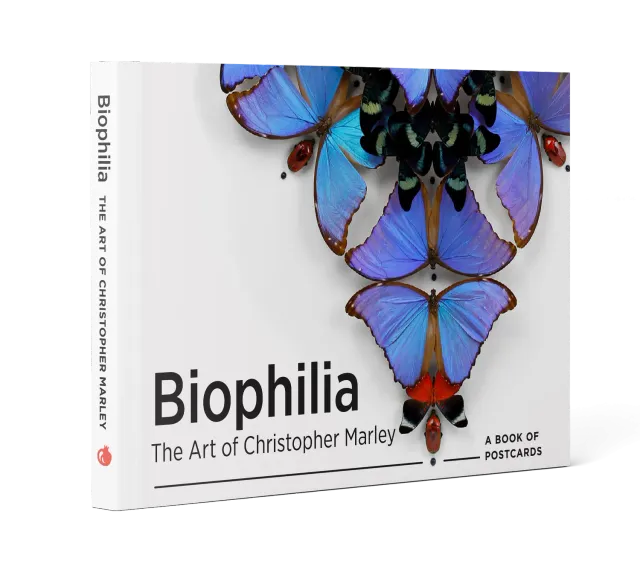 Pomegranate Biophilia Christopher Marley postkortbog dyr
