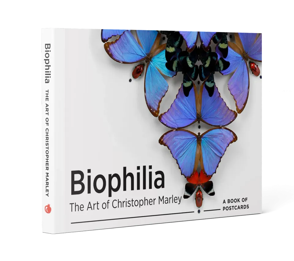 Pomegranate Biophilia Christopher Marley postkortbog dyr