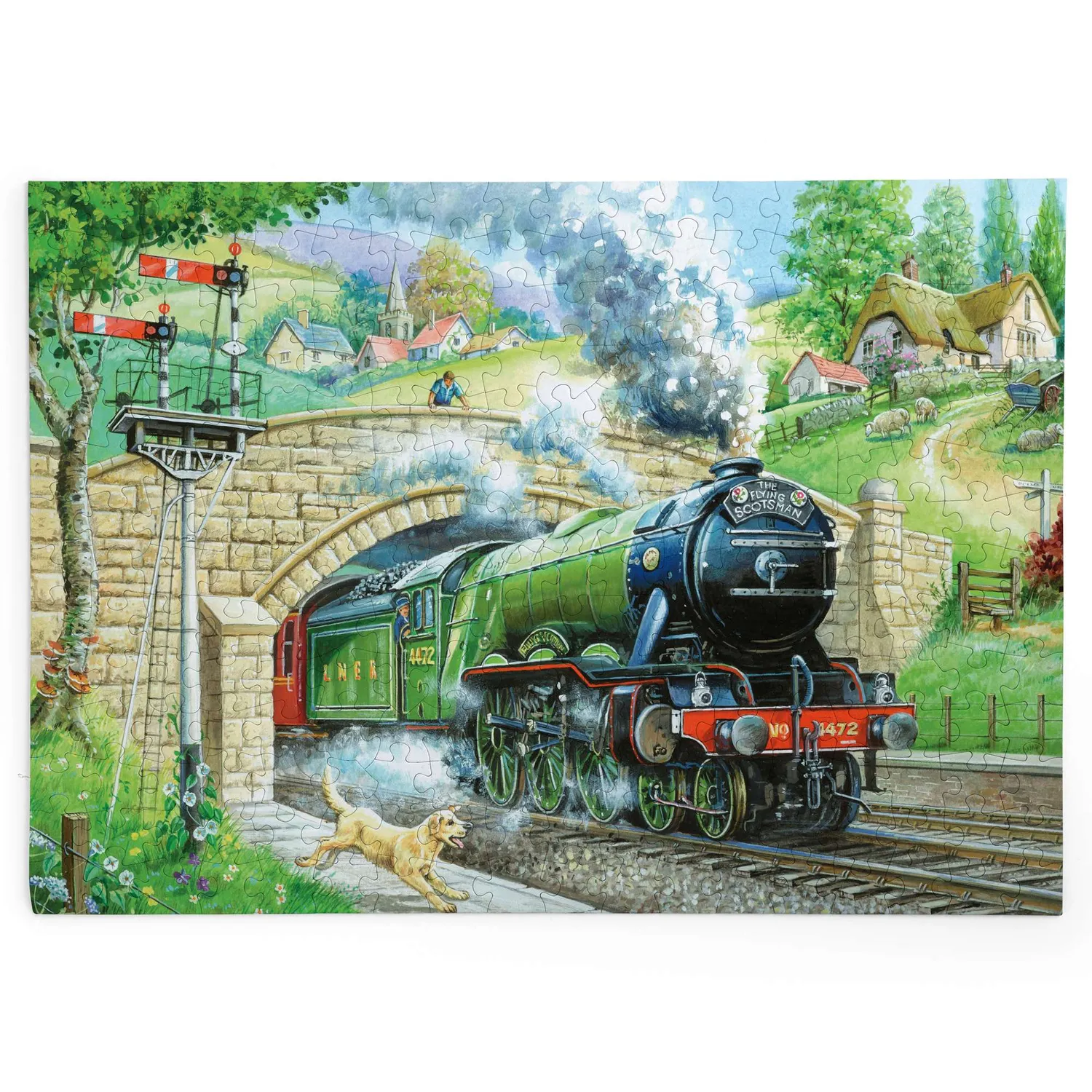 House of Puzzles Train Spotting BIG puslespil 250 store brikker