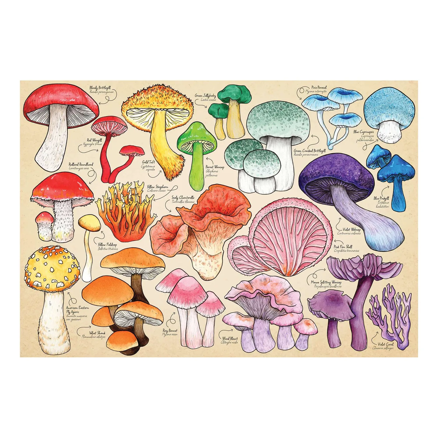 House of Puzzles Mushroom Mania puslespil tube 150 brikker svampemotiv