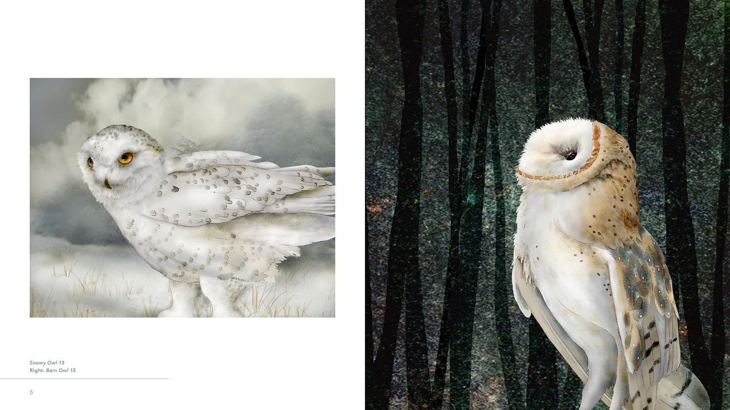 Pomegranate Owls Jeannine Chappell bog uglemaleri