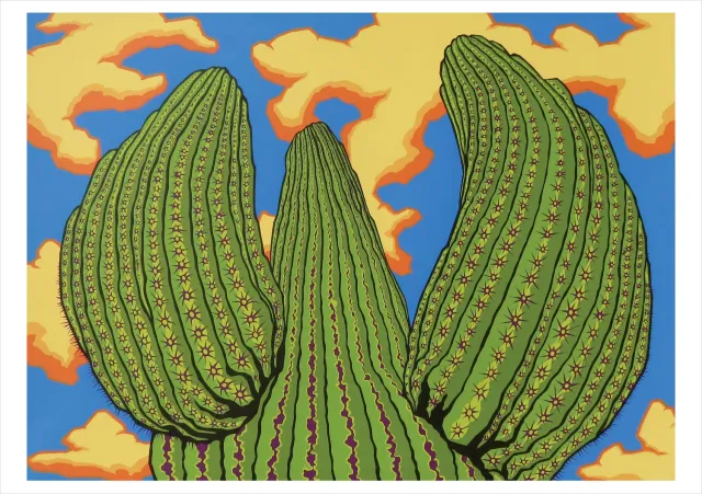 Pomegranate Harmston Saguaro Dreamin kort ørken