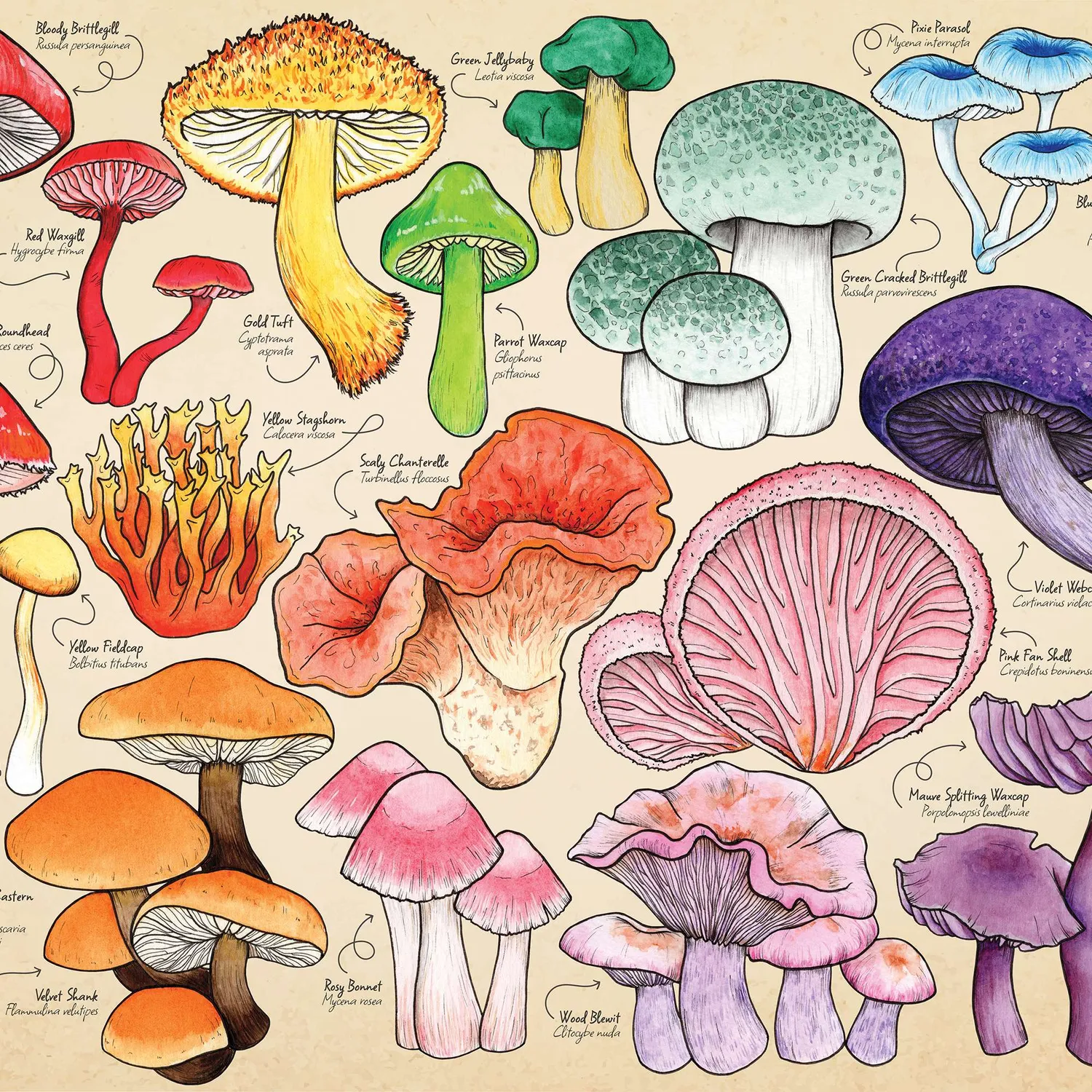 House of Puzzles Mushroom Mania puslespil tube 150 brikker svampemotiv