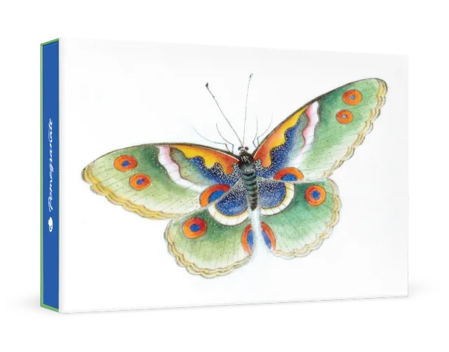 Pomegranate Butterfly kortæske – sommerfugl akvarel