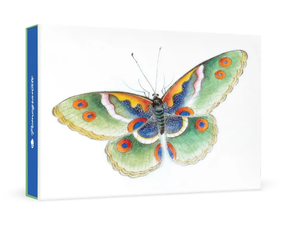 Pomegranate Butterfly kortæske – sommerfugl akvarel
