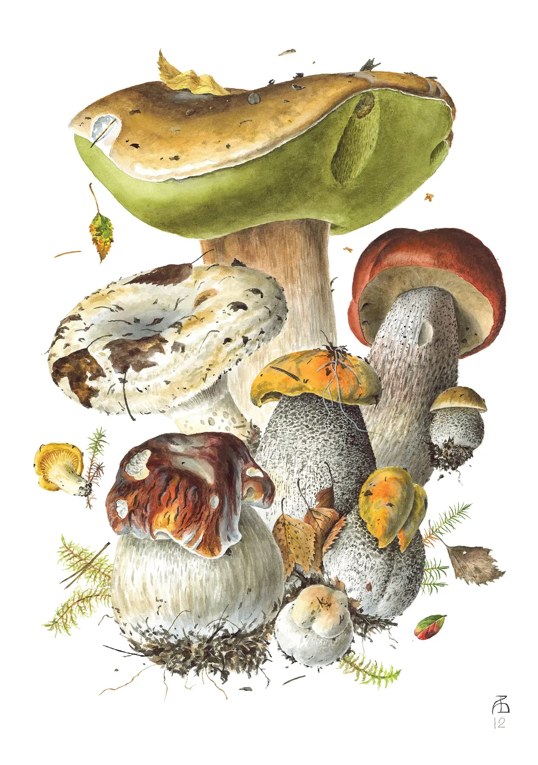 Pomegranate Mushrooms Viazmensky kort sæt 20 stk svampe