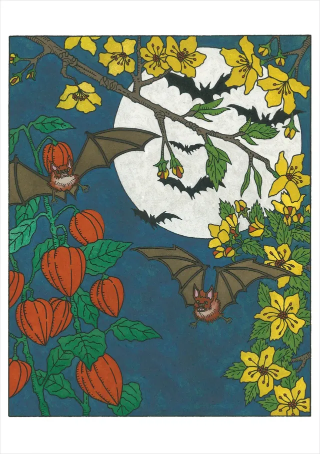 Pomegranate CJ Hurley Night Gliding brevkort ugle