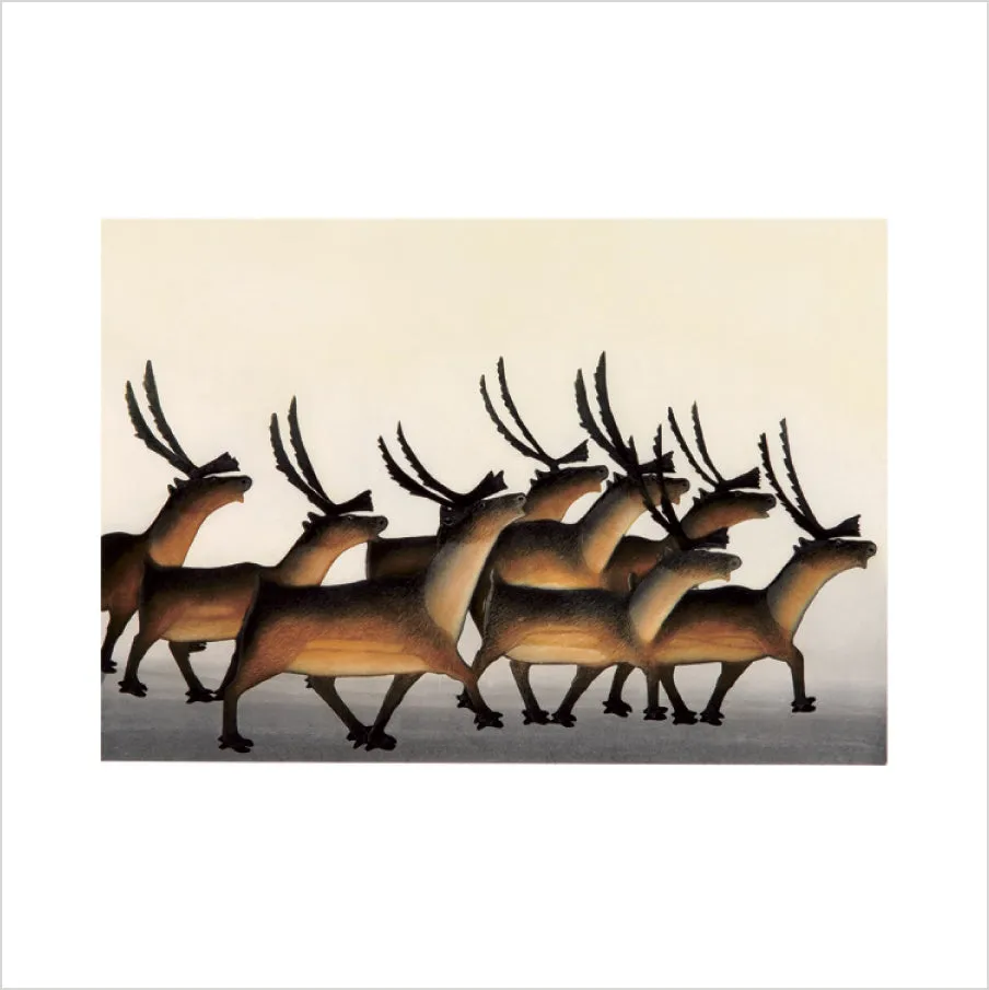 Pomegranate Arctic Animals Kinngait memoryspil 36 kort