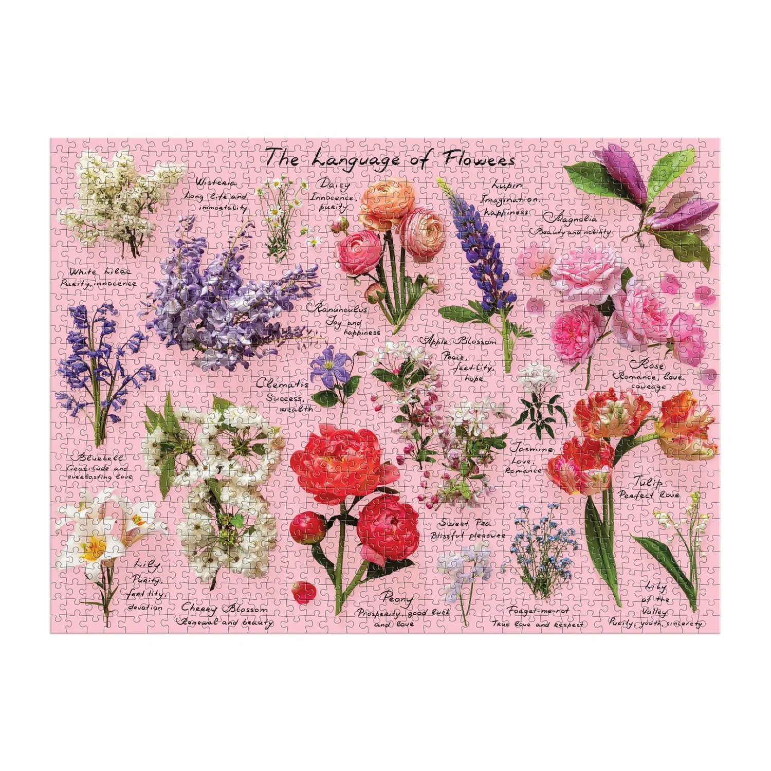 Good Puzzle Co. Language of Flowers puslespil 1000 blomster
