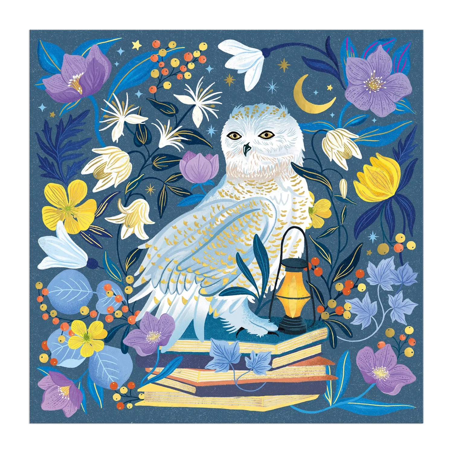 Good Puzzle Co. Celestial Owl puslespil 500 brikker folie