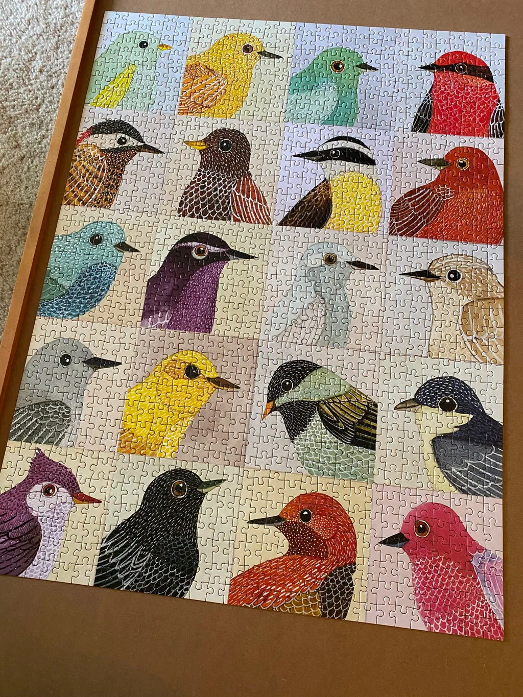 Galison Zlatkis Avian Friends puslespil 1000 brikker fugle