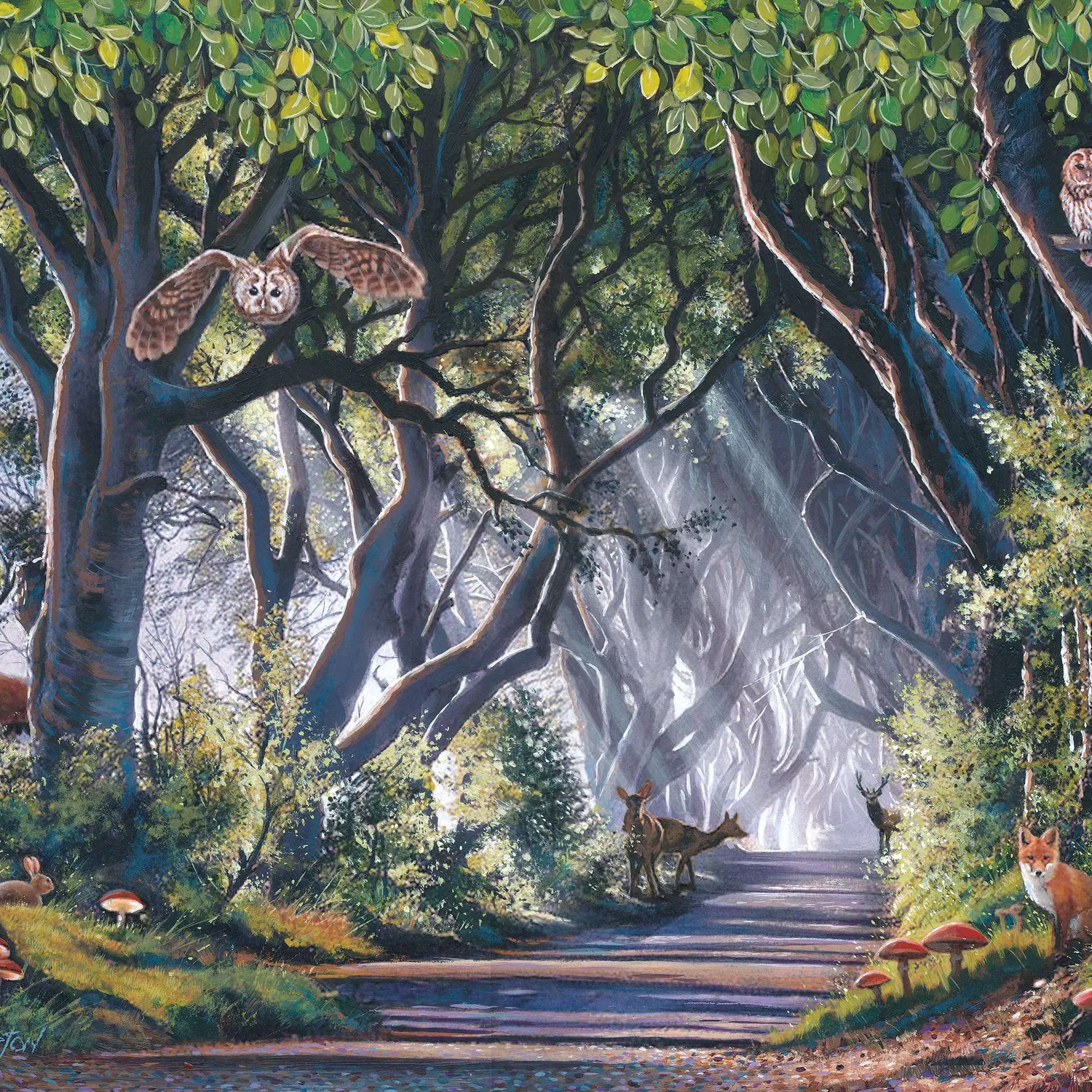 House of Puzzle Dark Hedges puslespil 500 brikker nat