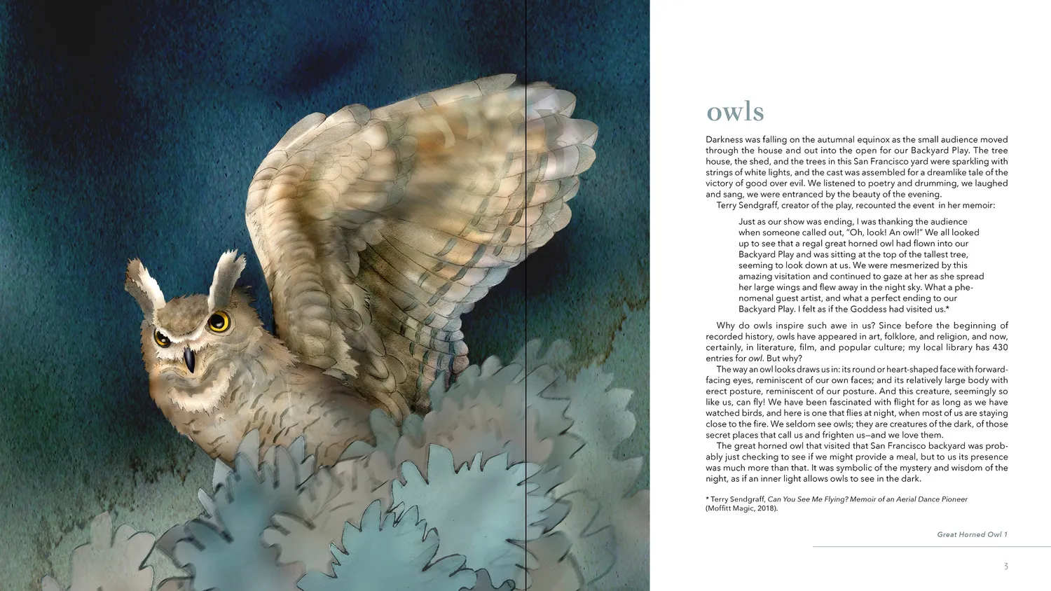 Pomegranate Owls Jeannine Chappell bog uglemaleri