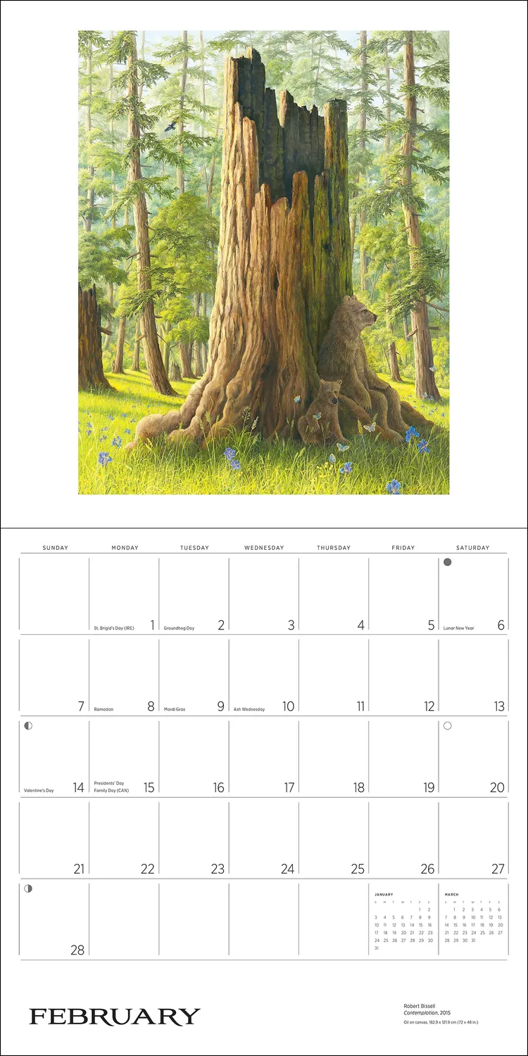Pomegranate Spirit Robert Bissell vægkalender 2027 bjørne