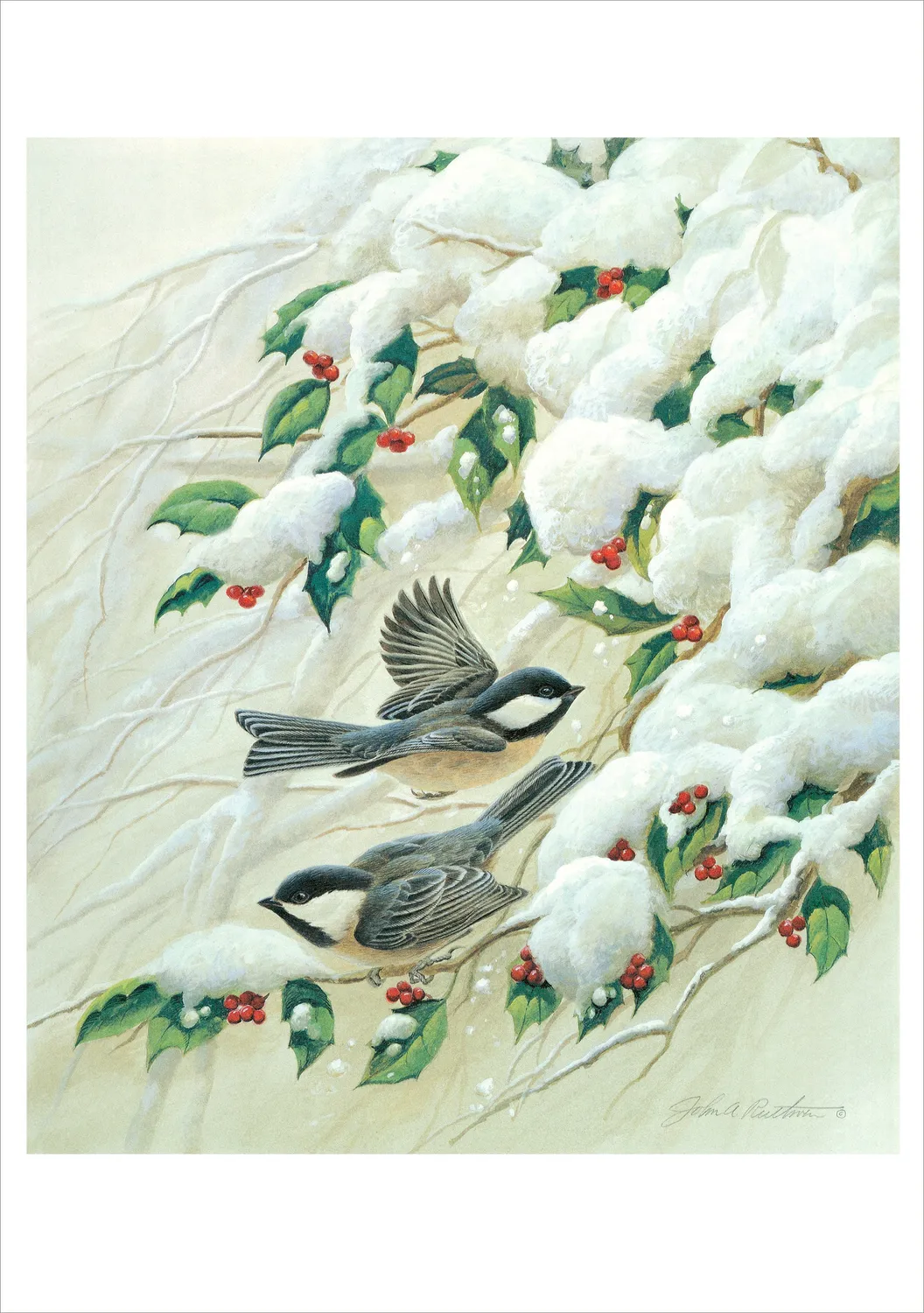 Pomegranate John Ruthven Black Capped Chickadees julekort fugle