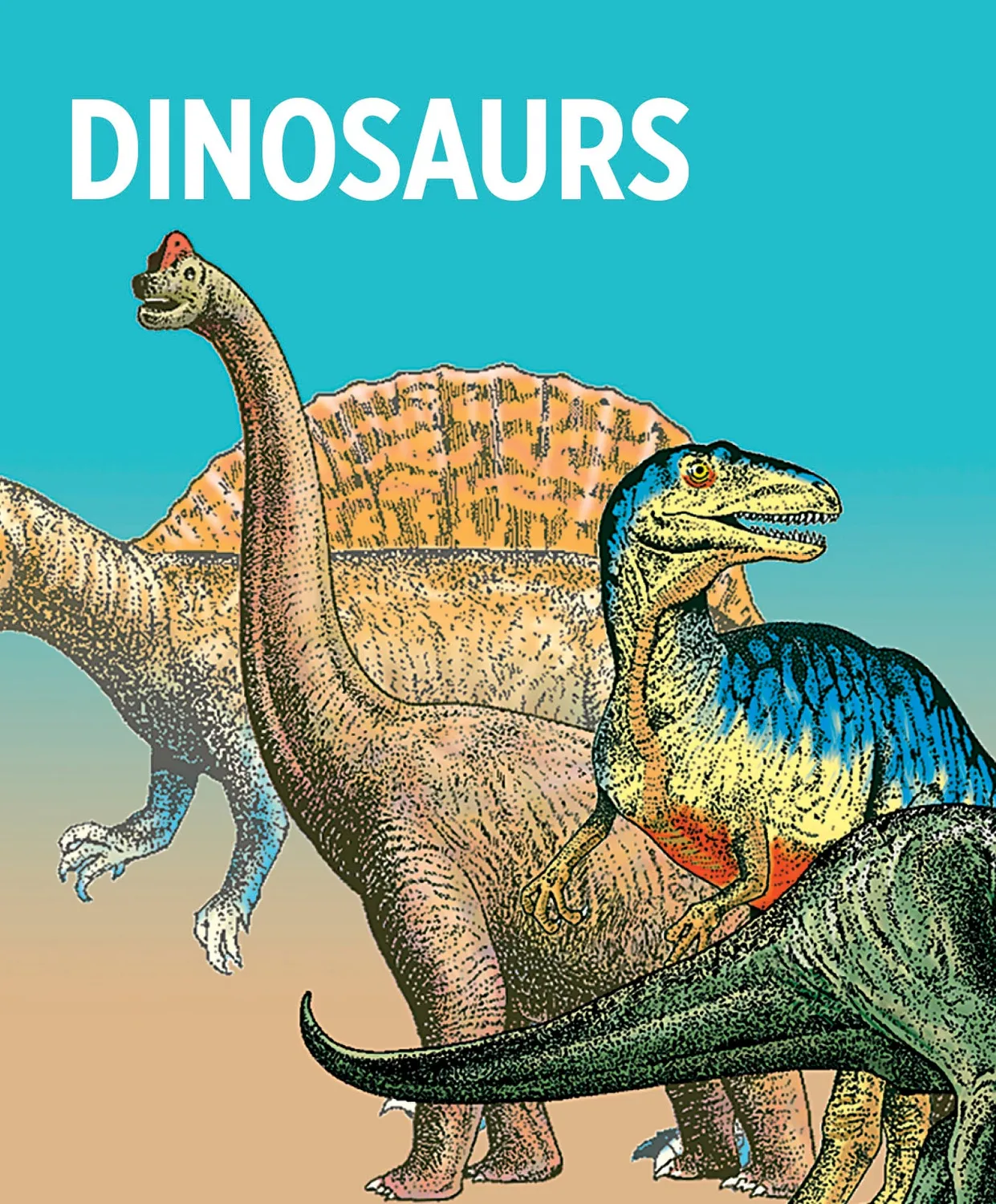 Pomegranate Dinosaurs Knowledge Cards lærekort 48 stk