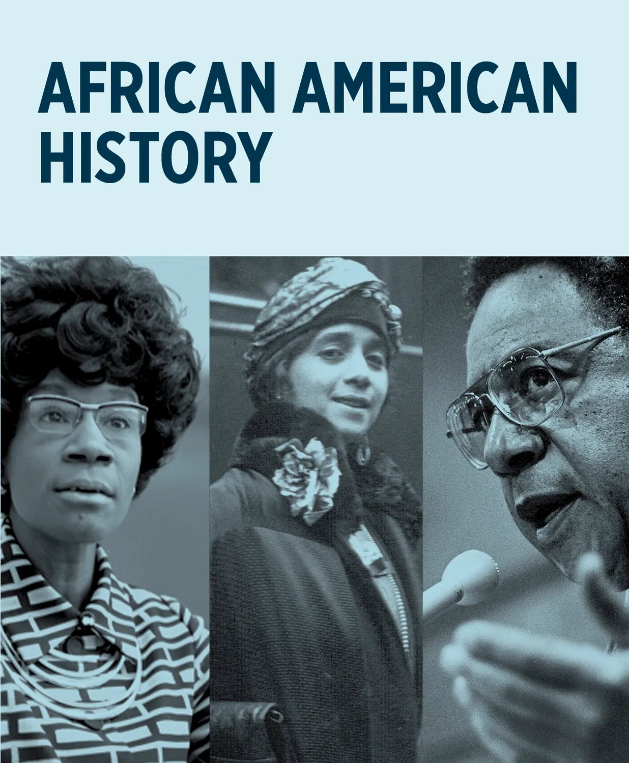 Pomegranate Knowledge Cards African American History videnskort 48 stk historie