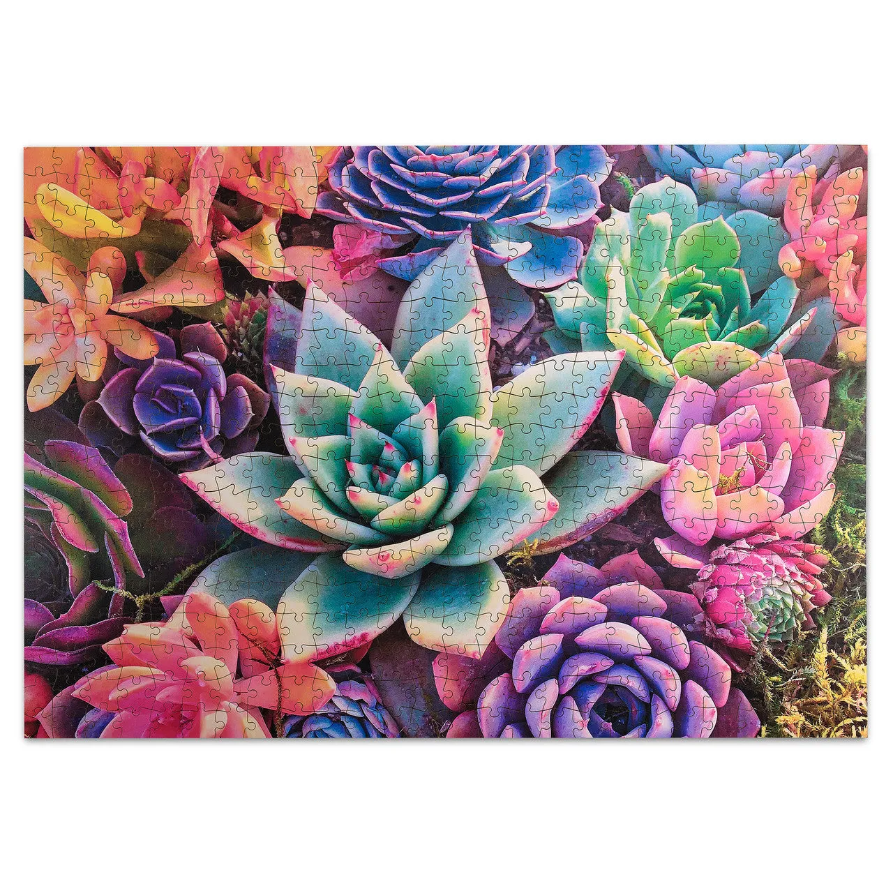 Buffalo Games Simple Succulent puslespil træ 500 brikker