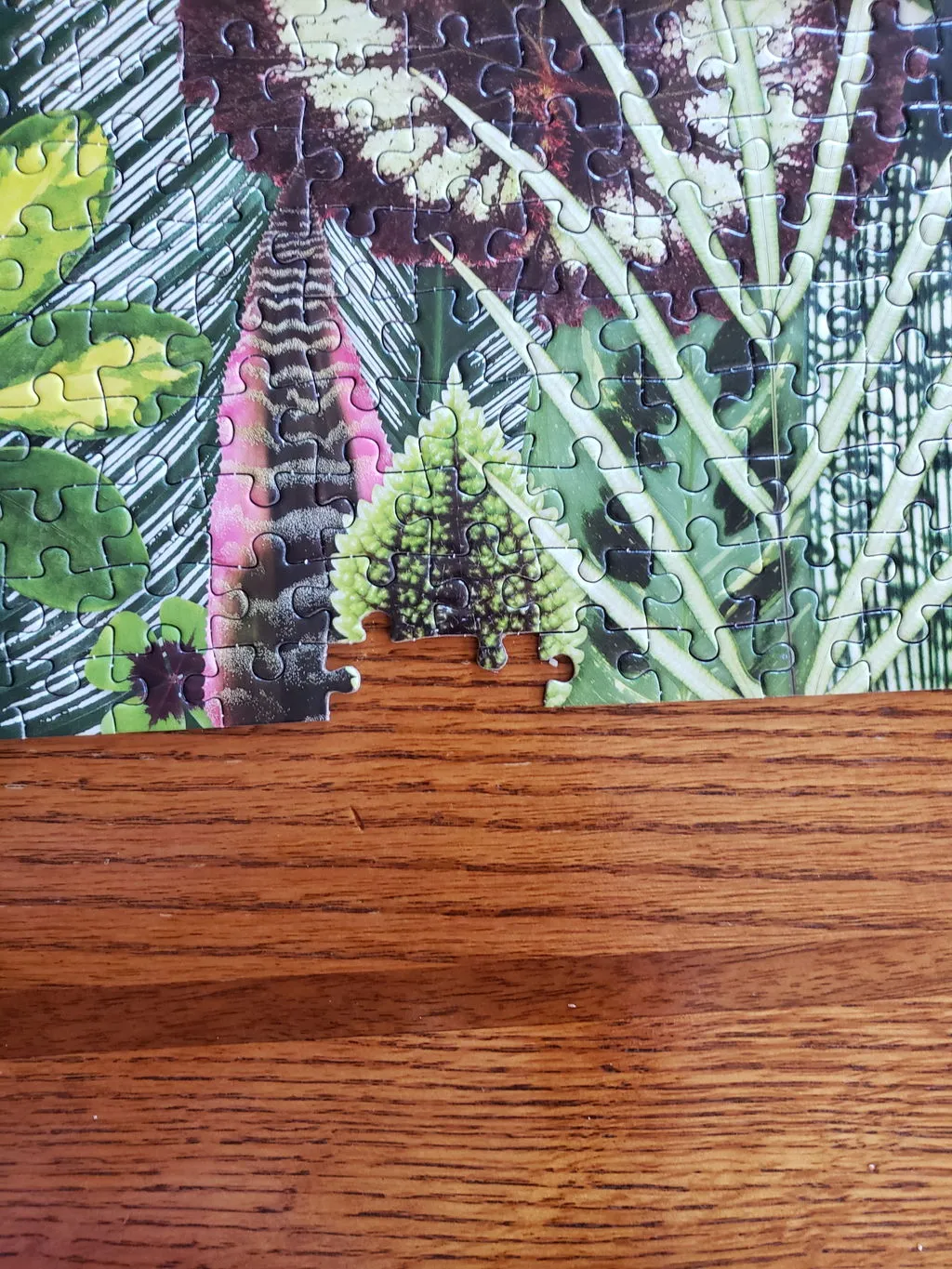 Galison Troy Litten Houseplant Jungle puslespil 1000 brikker blade