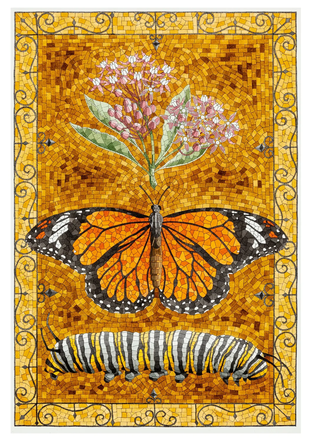 Pomegranate David Cohen Butterflies brevkortsæt sommerfugle