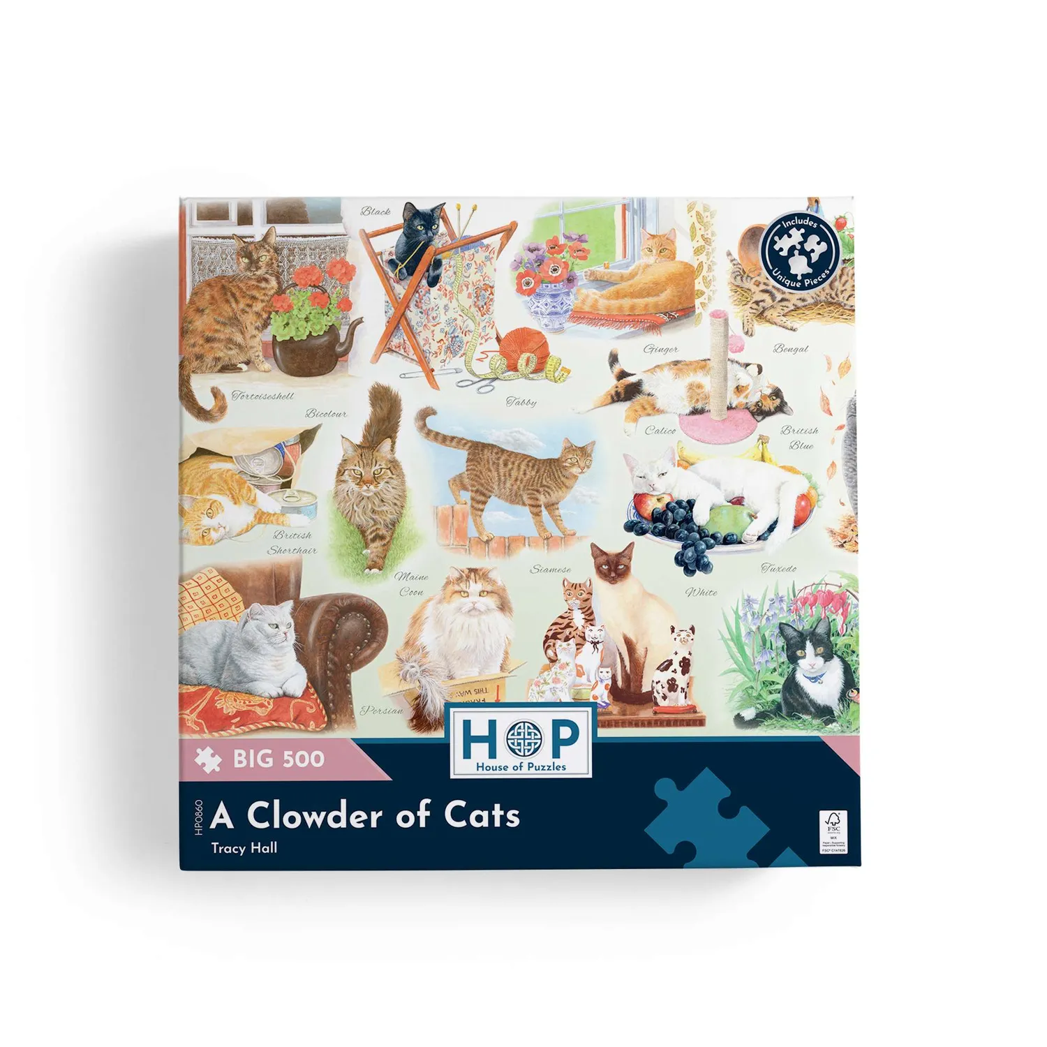 House of Puzzle BIG A Clowder of Cats puslespil 500 katte