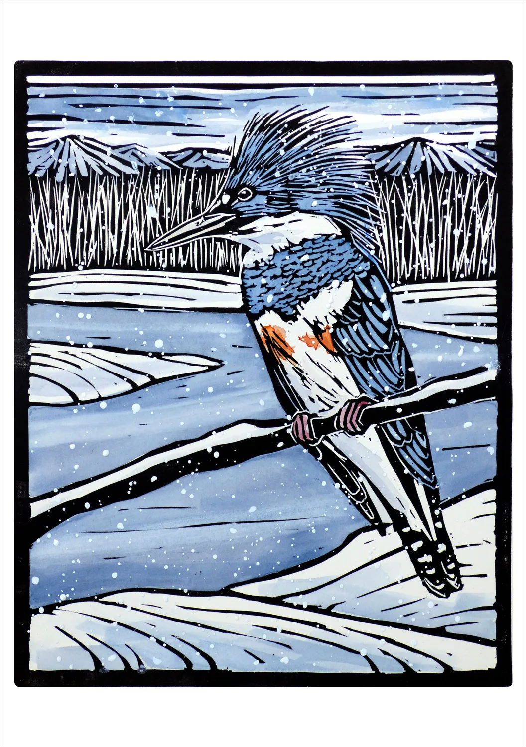 Pomegranate Kingfisher in the Snow julekort 20 stk isfugl