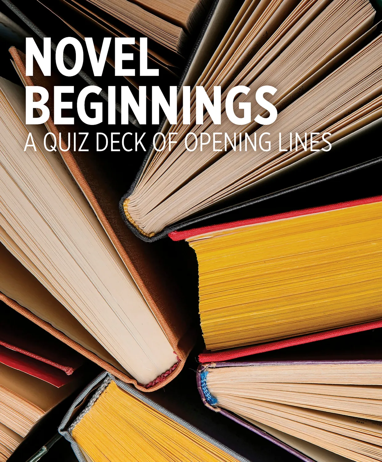 Pomegranate Novel Beginnings quizkort 48 kort