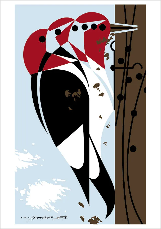 Pomegranate Charley Harper Woodpeckers kortmappe 10 fugle