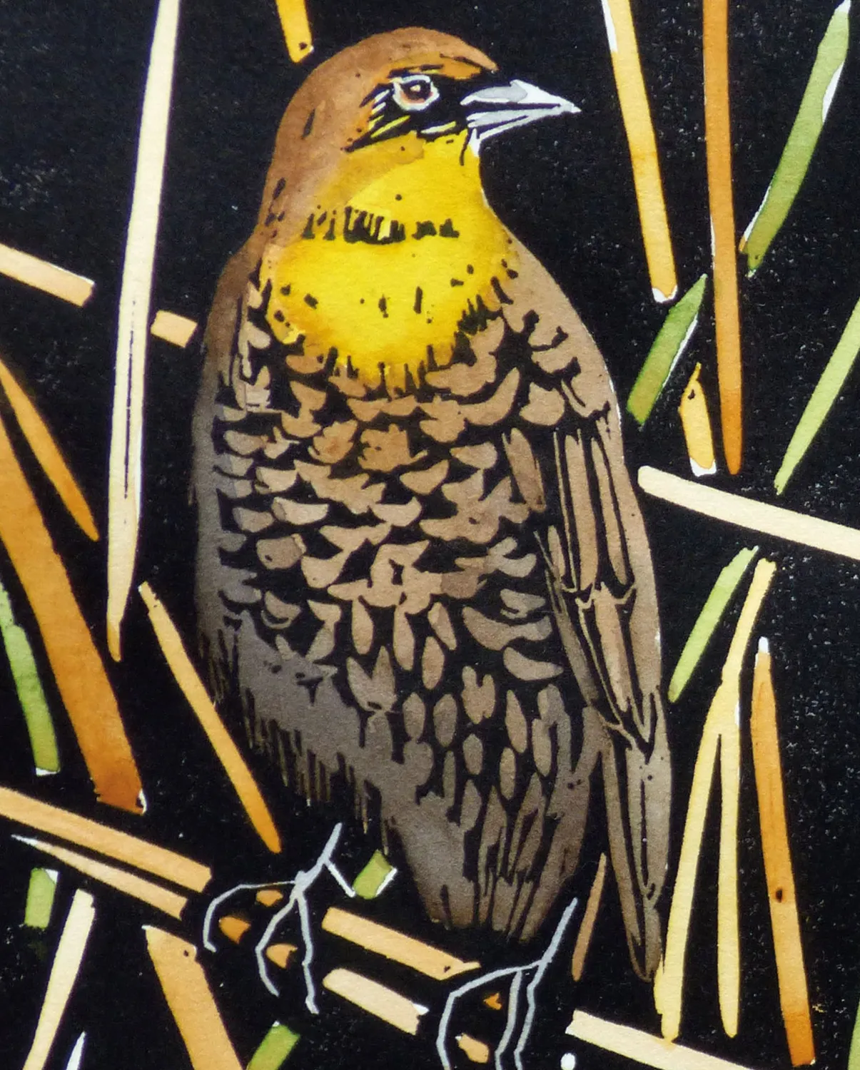 Pomegranate Hashimoto Yellow-headed Blackbird bogmærke