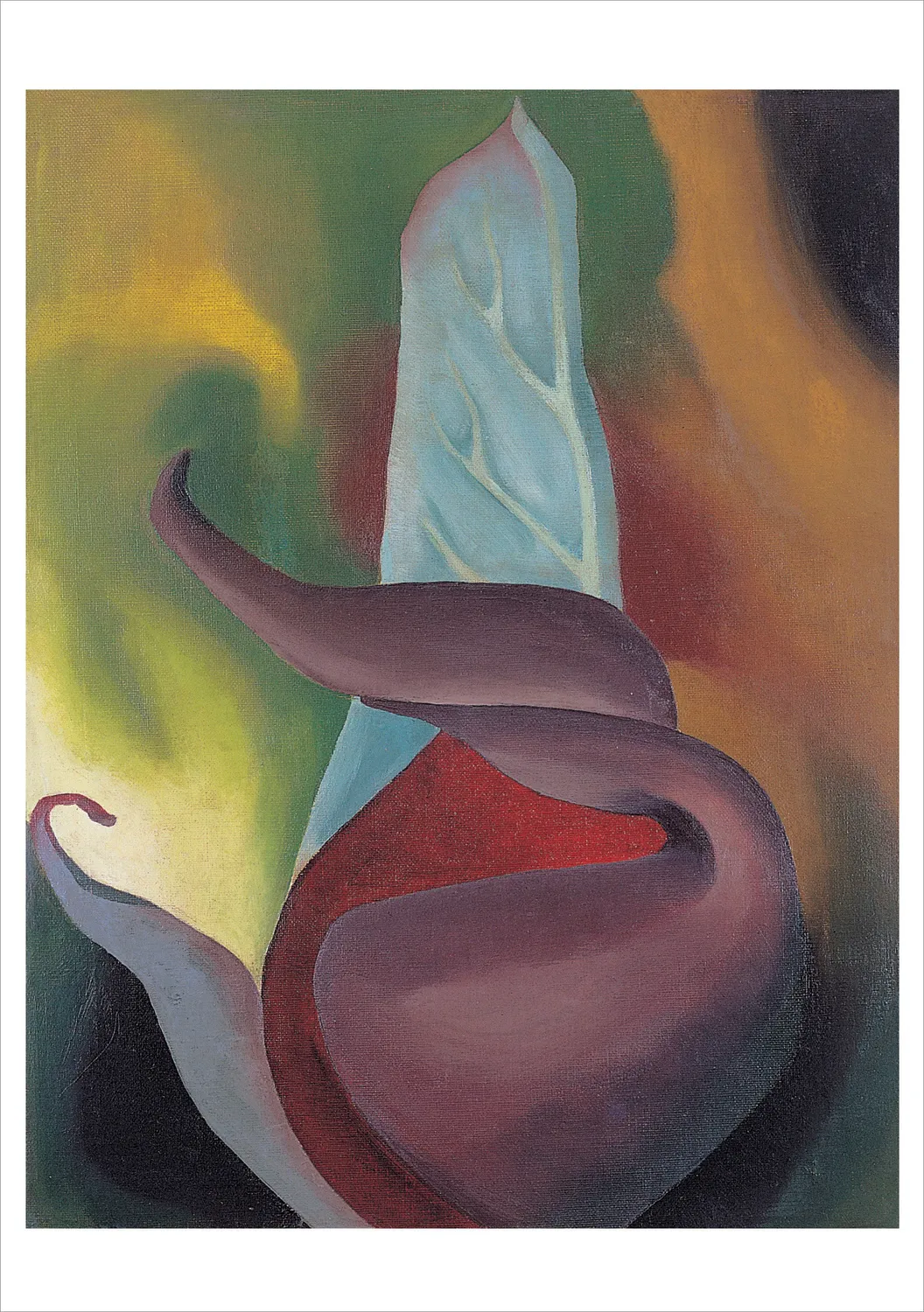 Pomegranate Georgia O’Keeffe kortæske 20 kort blomster