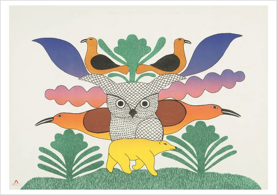 Pomegranate Kenojuak Ashevak Owl at the Centre kort enkelt ugle